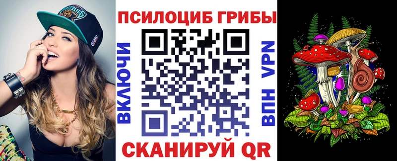 Галлюциногенные грибы Psilocybe  Среднеколымск 